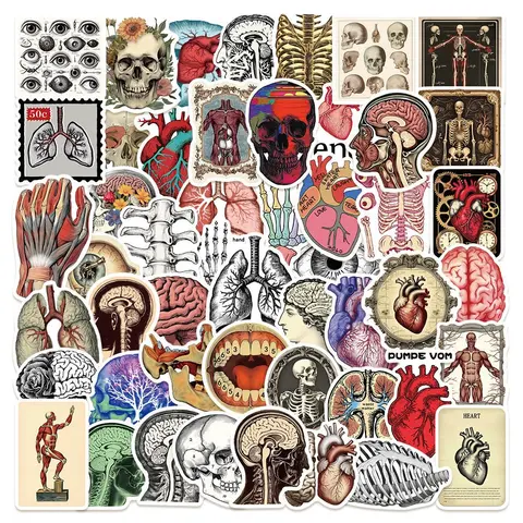 Vintage Anatomy Series Sticker, 50pcs/set Retro Science Anatomy Sticker, DIY Decorative Sticker for Scrapbook, Journal, Notebook, Water Bottle, Car Decal, Halloween, Decals Stickers, Graphic Decal, Includes Sticker