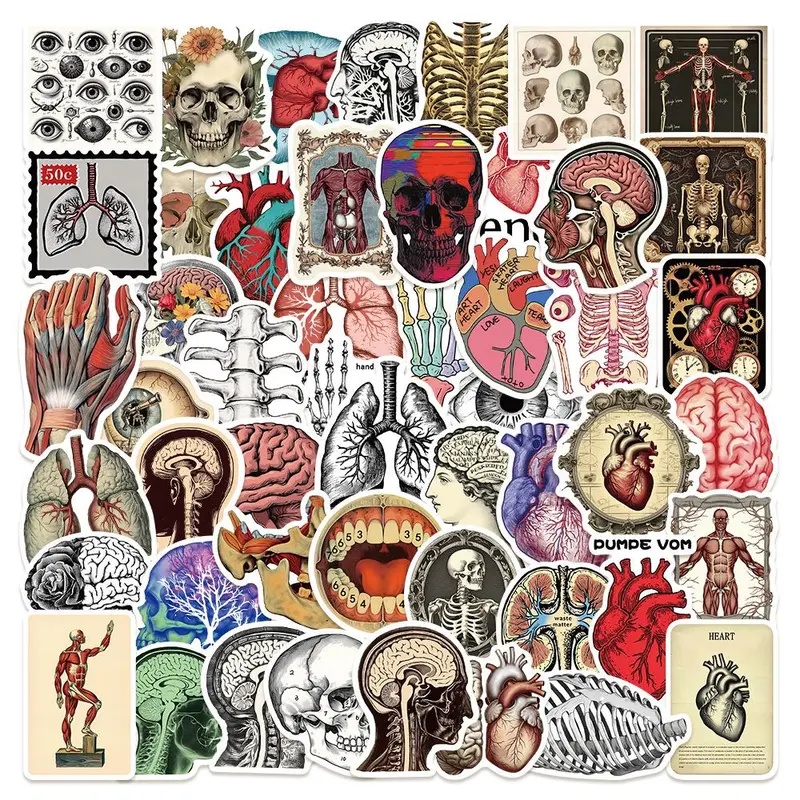 Vintage Anatomy Series Sticker, 50pcs/set Retro Science Anatomy Sticker, DIY Decorative Sticker for Scrapbook, Journal, Notebook, Water Bottle, Car Decal, Halloween, Decals Stickers, Graphic Decal, Includes Sticker