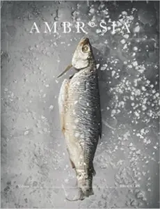 USED-Ambrosia, Volume 3: Brooklyn by Adam Goldberg (Paperback)