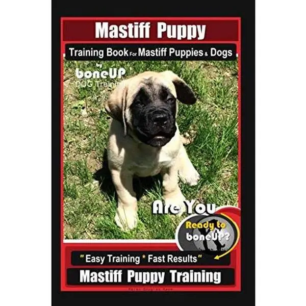 USED-Mastiff Puppy Training Book for Mastiff Puppies & Dogs By BoneUP DOG Training: Are You Ready to Bone Up? Easy Training * Fast Results Mastiff Puppy Training by Karen Douglas Kane (Paperback)