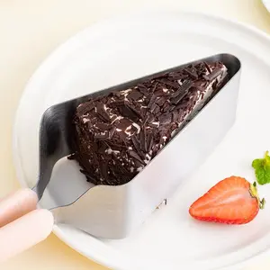 Stainless Steel Triangle Cake Divider/Transfer Tool and Cutter