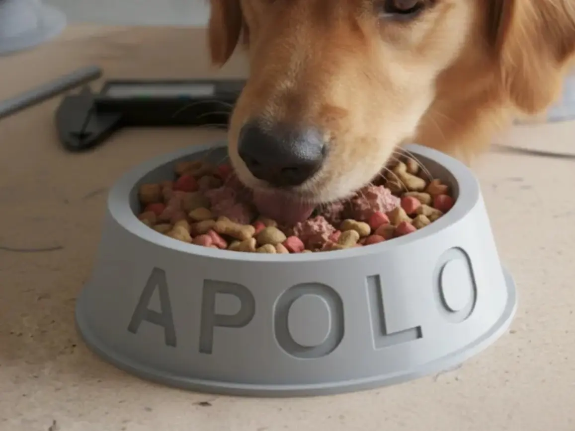 Personalized Dog & Cat Food Bowl with Custom Name | 3D Printed Pet Feeding Bowl