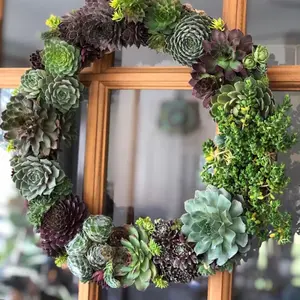 Cold Hardy Succulent Wreath – 16" Hens & Chicks (Sempervivum) Living Front Door Wreath
