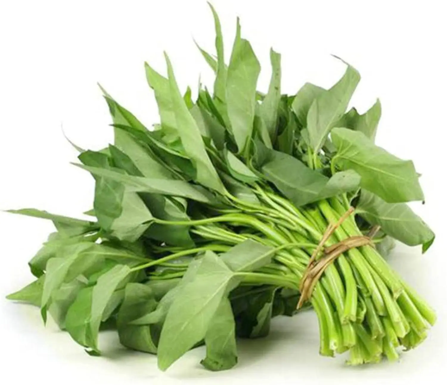 Kang Kong Water Spinach Seeds for Planting, 1000+ Non-GMO Rau Muong Vegetable Seeds, Choy Ong Green Leaf Vegetable Seeds for Home Garden & Yard Growing