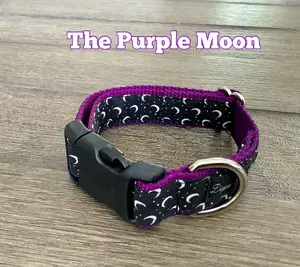 Dog Collar with Moon