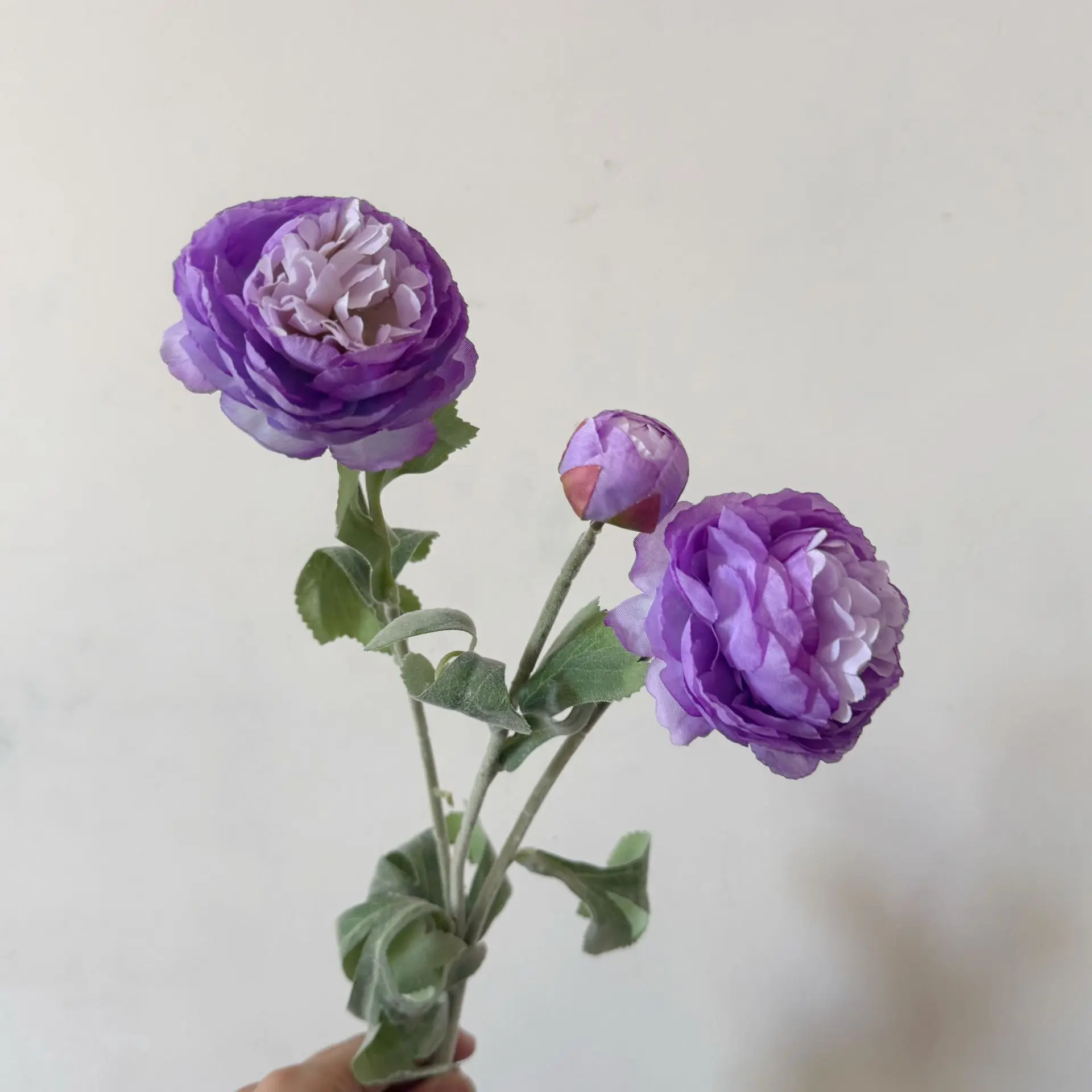 10 purple flowers