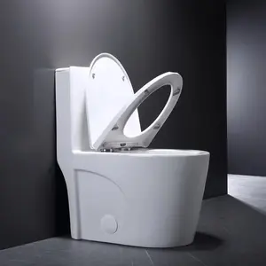 Clovis Contemporary Elongated Bowl Shape Ceramic One-Piece Toilet in White