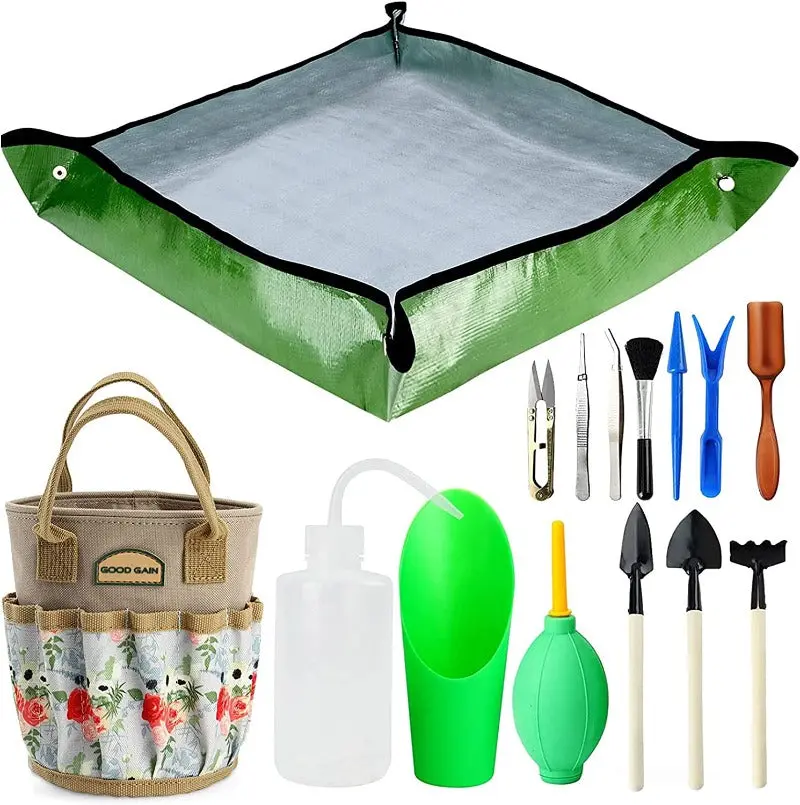 Premium Succulent Garden Tools Set with Organizer Bag and 12 Tools for Mini Plants Care