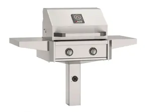 American Outdoor Grill T-Series 24-Inch 2-Burner Gas Grill on Accessible In-Ground Post Base (Includes Hood Side Handle)