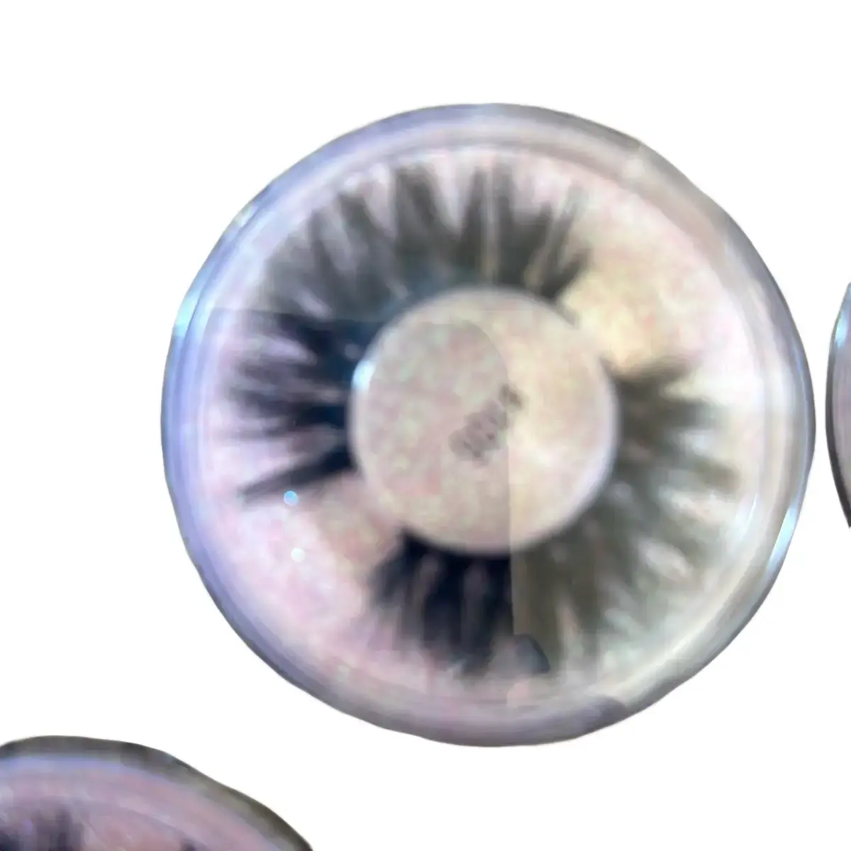 Mink Lash Stripes - Eyelashes for a Flawless Look Eyelash Extensions
