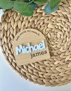 Personalized Arch Newborn Baby Sign, Hello World Birth Announcement