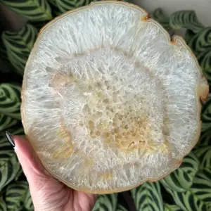 Agate Slice Natural Crystal Unique Design with Organic Patterns Ideal for Decoration Grounding Stabilizing Energy Supportive for Balance