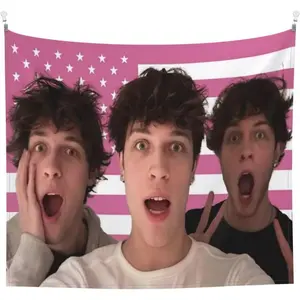 Sturniolo Artist Triplets Polyester Tapestry, Aesthetic Wall Hanging Decor for Bedroom, Living Room, Dorm -