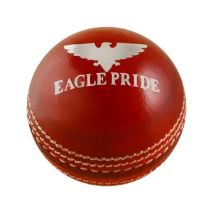 Leather Cricket Hard Balls – Hand-Stitched, Tanned & Polished for Club, Practice, Test, One Day & T20 Matches – County Cricket Crown Match Balls, Red & White (156g / 5.5oz)