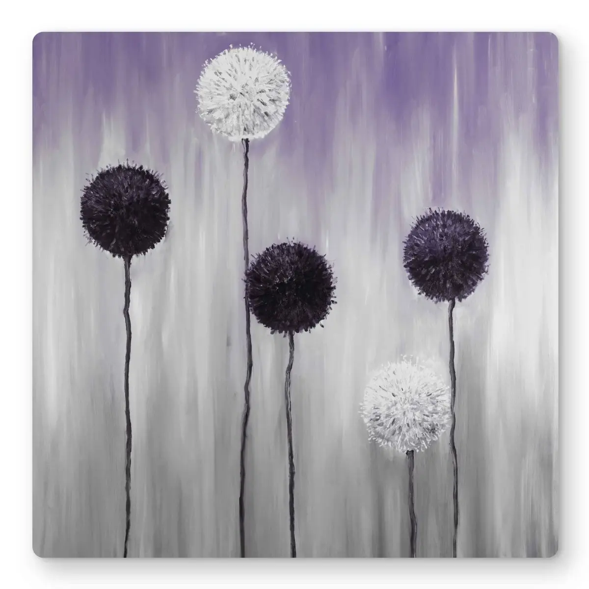 PURPLE 16x16 in. Aluminium Floral Metal Print, Purple & White Allium Flower Nature Artwork, Home Decor Wall Art - Gift for Home Supplies Enthusiasts, Art-Inspired Wall Arts, Colored Wall Arts