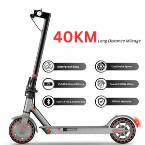 2025 Powerful 350W Folding E-Scooter for Adults  App-Controlled Ride Long Range Scooter M365 Pro
