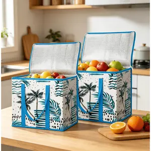 2 Pack Insulated Heavy-Duty Large Collapsible Foldable Storage Bags, Reusable Cooler Bags for Grocery Shopping & Cold Food Storage