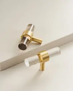 CATSKILL BRUSHED BRASS & ACRYLIC CABINET KNOB