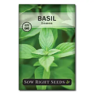 Lemon Basil Seeds