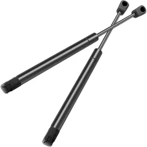 Lift Supports Rear Trunk Lid Struts Springs Springs Shocks For Chrysler 300,2005-2008 With 6405 Strut Set of 2