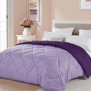 Seward Park Full Queen Size Light Purple Comforter Plum Lavender Reversible Lightweight Girls Bedding Cooling Bedspread All Season Spring Blanket