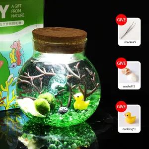 Alkaid - Glowing Big Dipper Bottle Ecosystem, Cute Marimo Moss Ball Micro-Landscape, Self-Sustaining Crystal Garden & Starry Night Aquarium Plant Decor (Includes 2 Live Marimo Pets)