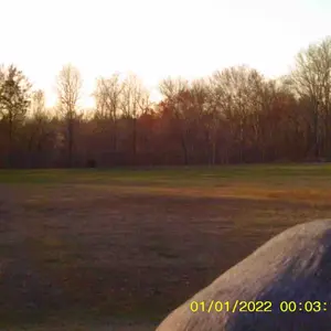 Product Review of FHD 1080P Digital Camera with SD Card, 16X Digital Zoom Camera, Portable Mini Camera for Teenagers Students Boys Girls, Point and Shoot Camera for Gifts, Tech Gadgets, Gift from **