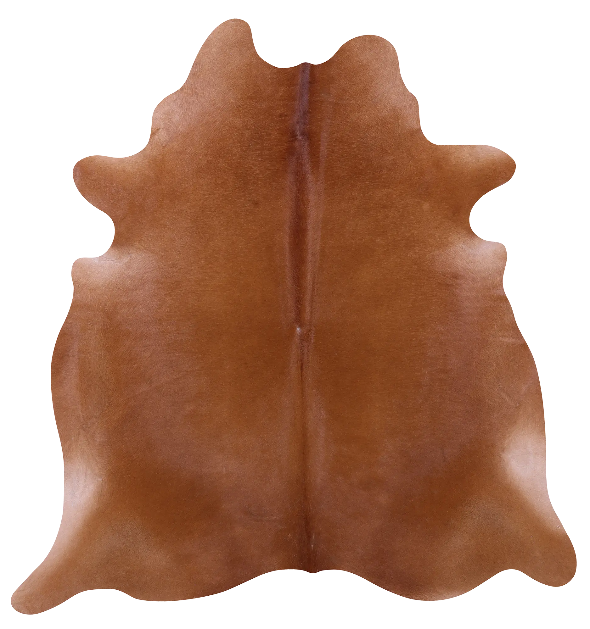 SUPER SALE Brown Natural Cowhide Rug - Large 6' 10"H x 6' 3"W