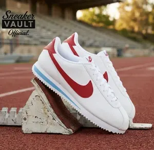 Nike Cortez Forrest Gump (2024) DN1791-108 Womens Fashion Sneakers New