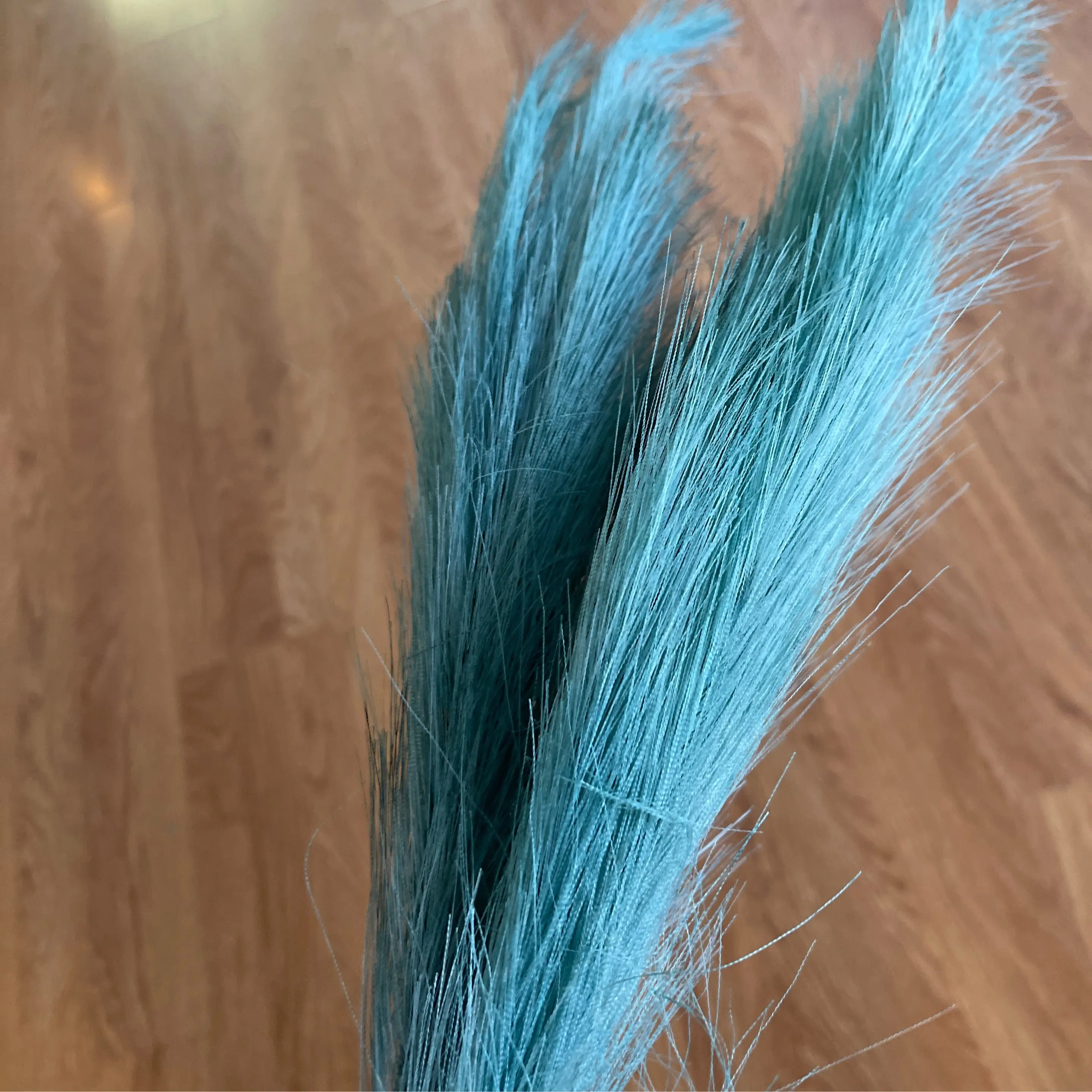 Blue Pampas Grass