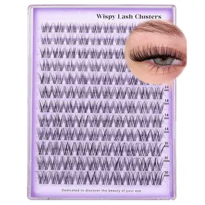 120 Pcs Invisible Strip Lash Set, Wispy Natural False Eyelashes, DIY Lash Extension Kit, D Curl, 10-16mm, Single Lash Sets, Eyelashes Extensions