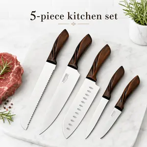 5-Piece Kitchen Knife Set with 9Cr18 Steel Blades and Handles for Meat, Bread, Fruit, Vegetables and Daily Food Prep