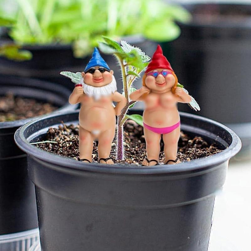 2Pcs Garden Gnomes Rude and Playful Resin Dwarf Statues for Indoor or Outdoor Lawn Decor Perfect for Novelty Gifts and Adding Humor to Your Garden