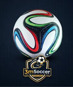 Soccer Men's and Women's 2014 Match Size 5 Training Ball