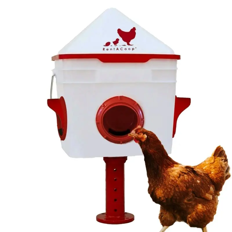 RentACoop 10lb Chick2Chicken 4-Port Chicken Feeder