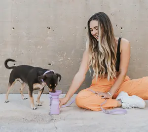 Springer S/2 Mini 15oz. Leak-Tight Portable Dog Water Bottle