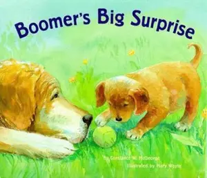 USED-Boomer's Big Surprise (Boomer, BOOM) by McGeorge, Constance W. (Hardcover)