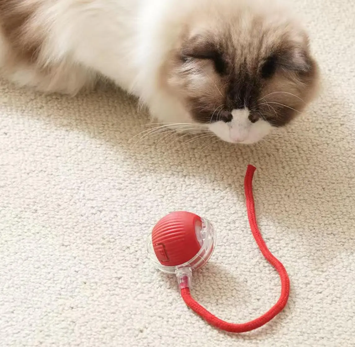 [My Pet Cat Loves it] Automatic Rolling Pet Ball Toy for Indoor Play, with Replaceable Tail Attachments, Self‑Moving Teaser Toy to Deplete Pet Energy, Fit for Kittens, Adult Cats & Small Dogs