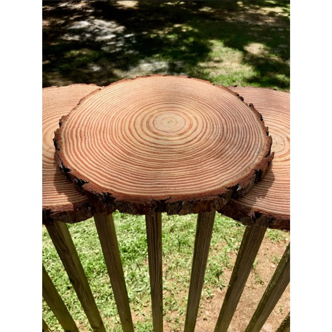 10 inch Wood Slabs (Georgia Loblolly Pine)