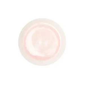 Stoneware Dinner Plates in Vintage Rose and Cream