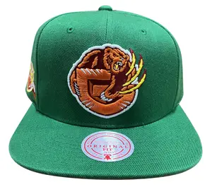 Mitchell & Ness Green NBA Vancouver Grizzlies Like Mike HWC Snapback Mitchell & Ness Green NBA Vancouver Grizzlies Like Mike HWC Snapback