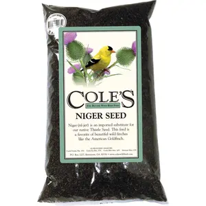 Cole's Niger Thistle Seed