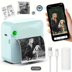 Portable wireless thermal