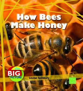 USED-How Bees Make Honey (The Big Picture: Food) (First Facts: The Big Picture: Food) by Louise Spilsbury (Paperback)