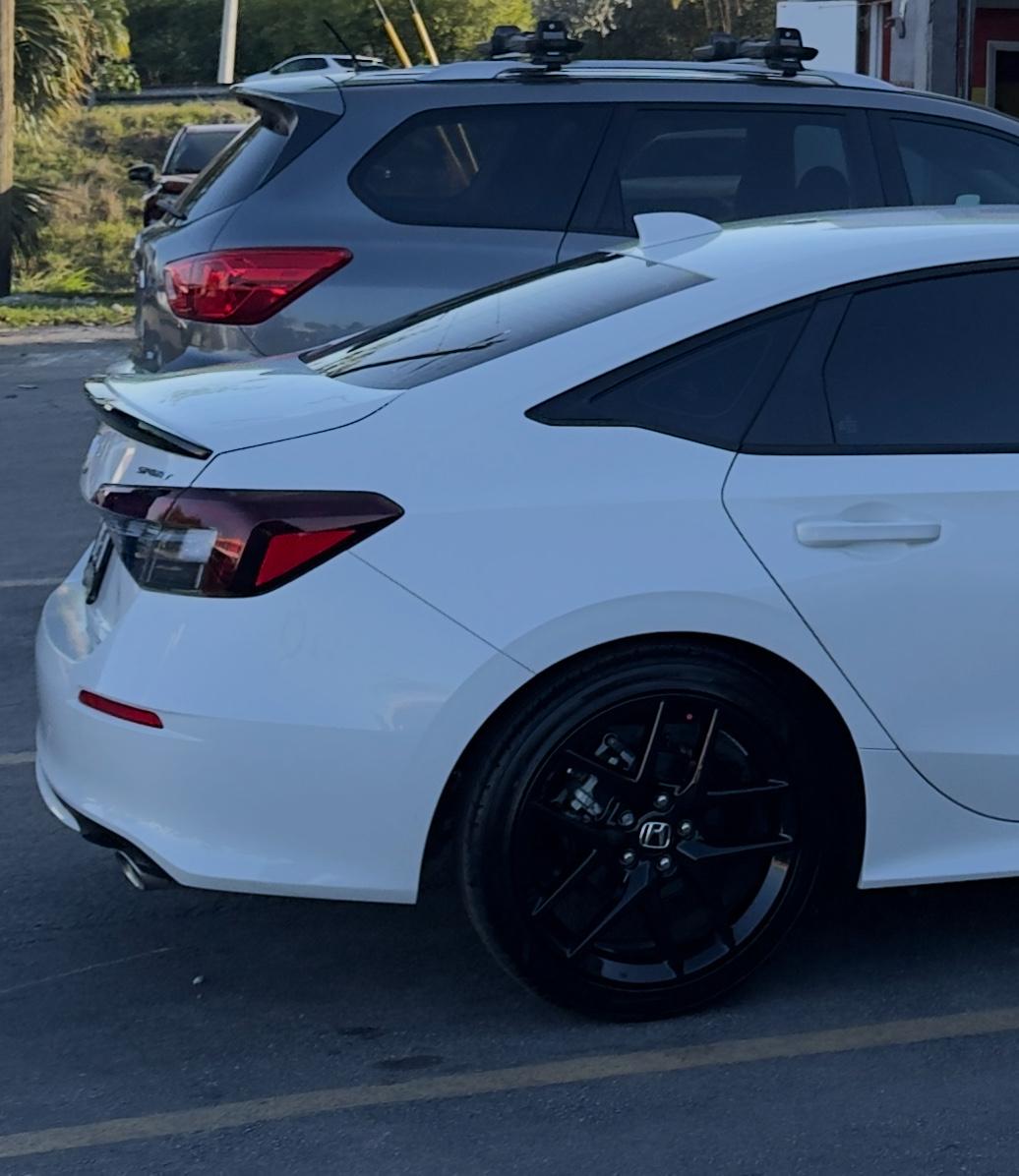 Item: 16oz | Black Cherry