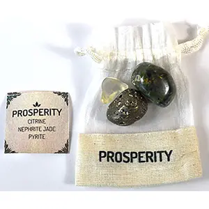 Prosperity Crystal Kit Citrine Nephrite Jade Pyrite