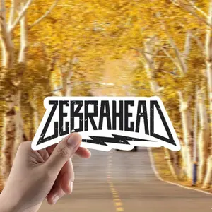 Pop Punk Band Vinyl Sticker Pack - Transparent, Holographic, White, Durable Stickers Suitable for Various Occasions Such As Laptops, Skateboards, Cars, Etc