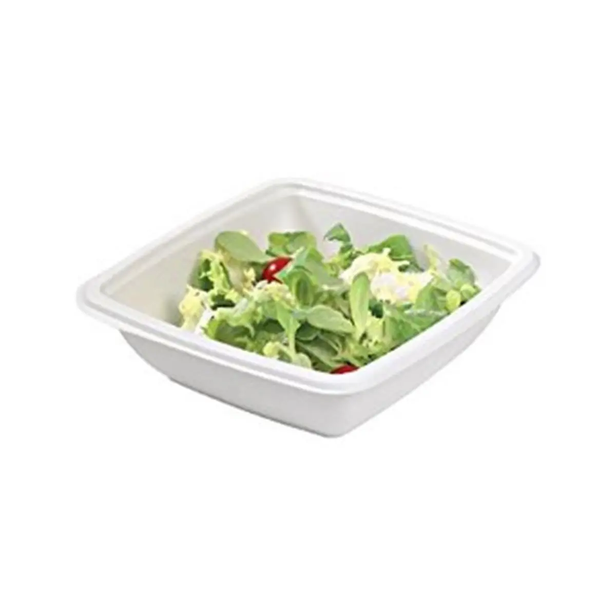 PackNWood Disposable Square Sugarcane Salad Bowls, Biodegradable Square Tableware, Microwave-Safe for Home & Party Use