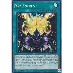 Xyz Entrust | MP24-EN393