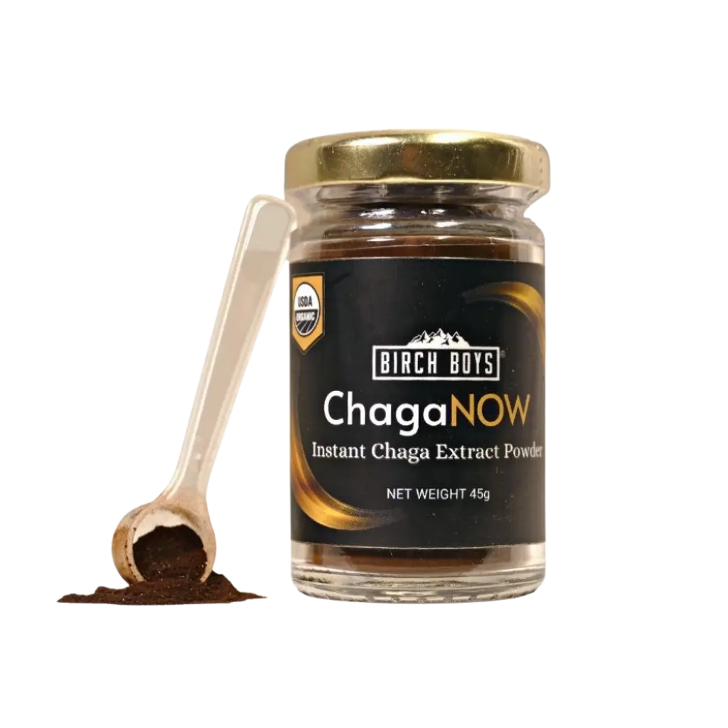 Instant Chaga Extract Powder | 100% Organic Premium Wild Chaga by Birch Boys